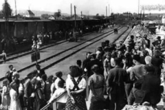 Deportacija zupanjskih roma 1942 