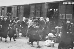 Deportacija_zupanjskih_roma_1942___3