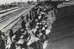 Deportacija_zupanjskih_roma_1942___5